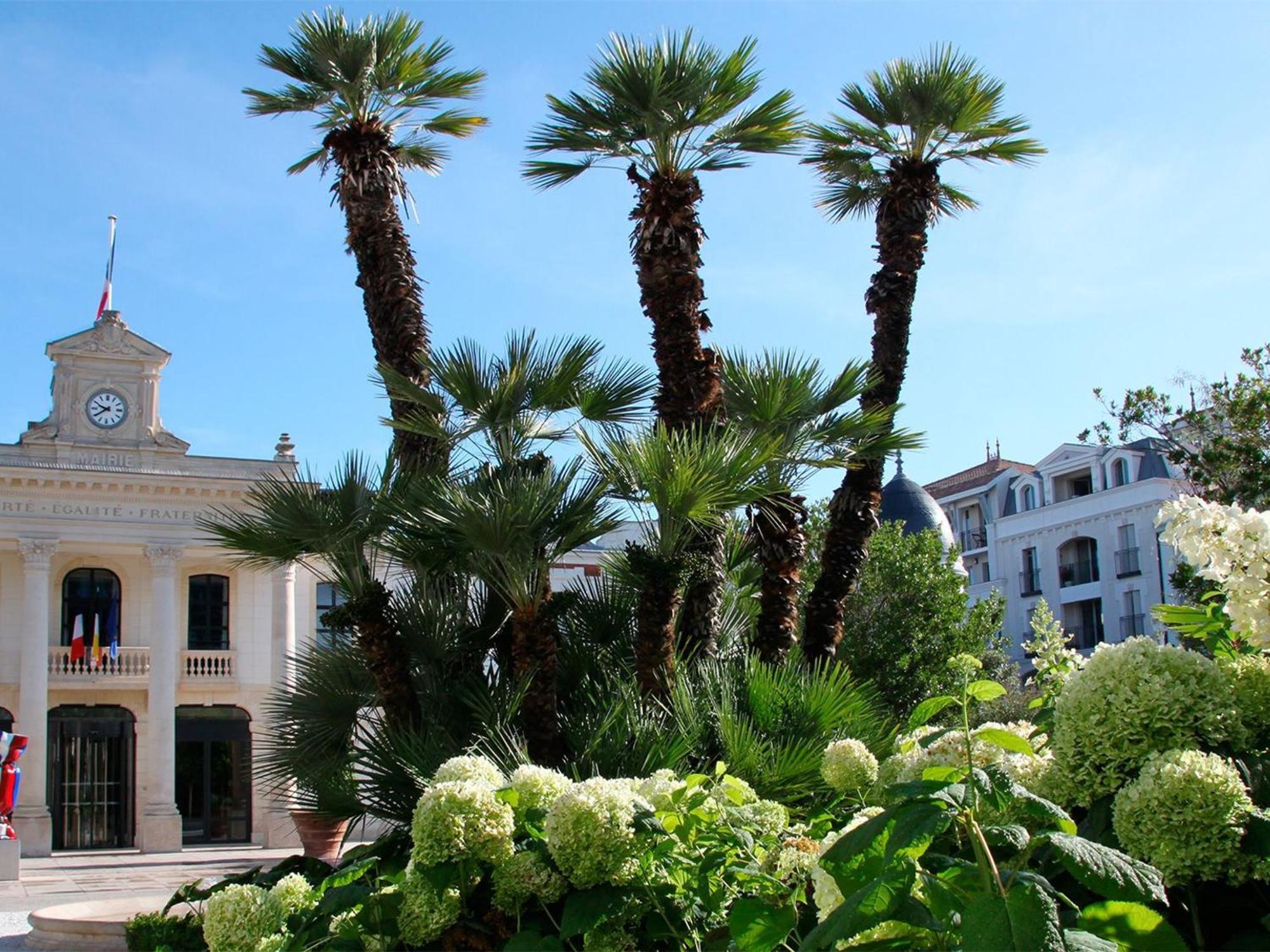 Appartement Proche Plage & Casino Avec Balcon Et Parking Prive, Arcachon - Fr-1-319-110 외부 사진